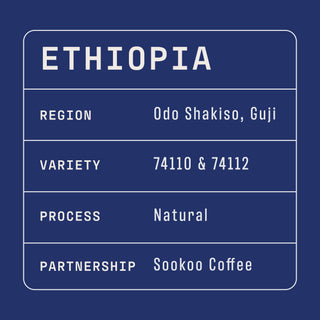 ETHIOPIA coffee label on a dark blue background showing region Odo Shakiso Guji and origin details.