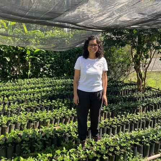 Woman in a white T shirt and black pants standing among rows of potted coffee seedlings in a shaded nursery.