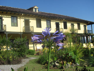 Villa Loyola exterior with yellow walls, balconies, and a blue agapanthus in the garden.