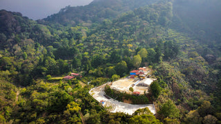 Aerial view of Finca Santa Ana coffee processing site on forested Guatemalan hills with red-roofed buildings.