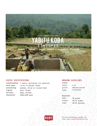 Ethiopia Yabitu Koba coffee information sheet on a bag showing hillside farm scene and the Ruby logo