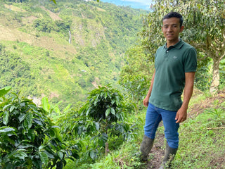 Farmer standing on a hillside coffee farm with lush terraces and a distant waterfall in San Agustín Huila