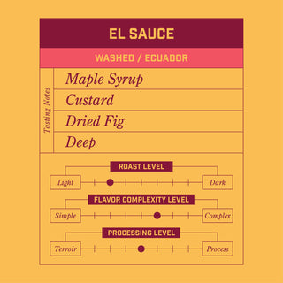 Morningsong El Sauce Washed Ecuador whole bean coffee bag on warm orange backdrop