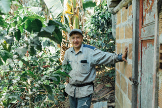 Coffee farmer standing among lush coffee plants beside a weathered brick doorway