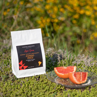 Fondo Paez coffee bag by Higher Grounds placed outdoors with a blurred field of yellow flowers behind.